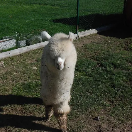 Tatragolf - Olívia E104 Apartamento