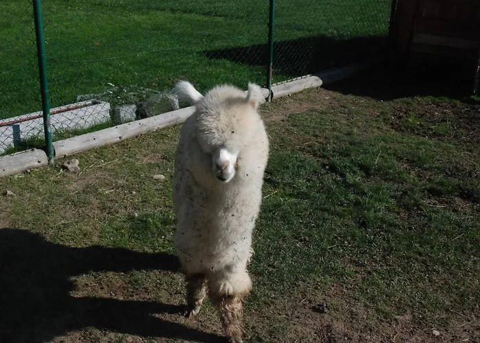 Tatragolf - Olivia E104 Appartement